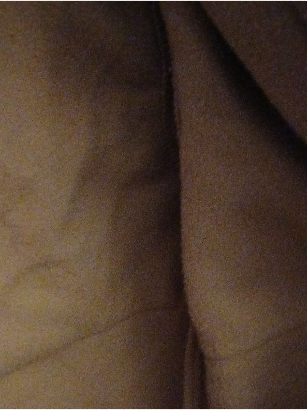 Reebok Brown Tan Hooded Performance Jacket - Picture 4 of 6